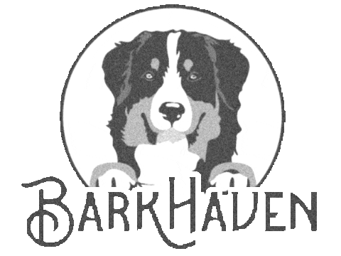 BARKHAVEN giphyupload barkhaven barkhavendogbar barkhavendogs Sticker