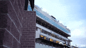College Football Sport GIF by Texas State Football