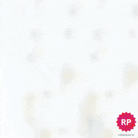 GIF by QAP