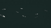 animation 2d GIF by Sabine Volkert