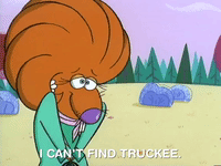 nickrewind nicksplat angry beavers GIF