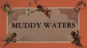 muddy waters vinyl records GIF by Vinyl Me, Please