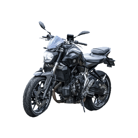 Moto-Vision giphygifmaker motorcycle motor motorbike Sticker