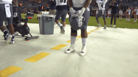 NevadaWolfPack giphyupload football wolf pack unr GIF