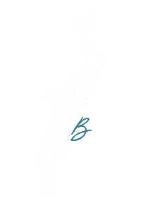 Kingfisher Bay Sticker by Cool Dingo Tour