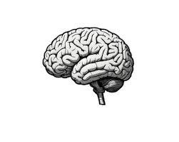No Brain Work Sticker