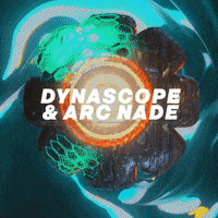Edm Bassline GIF by 3000 Bass