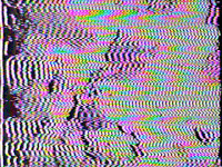 fun glitch GIF by Paula Morales