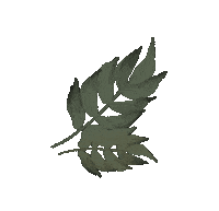 Summer Fall Sticker