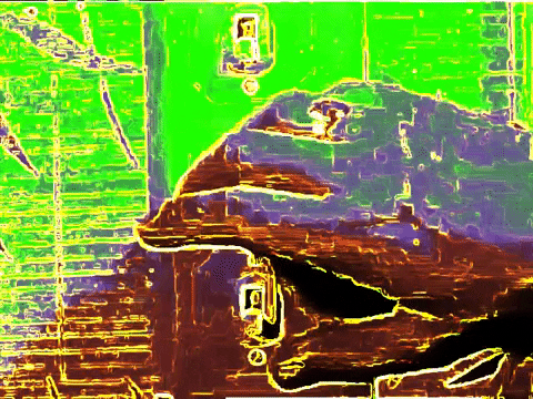 houston oddity GIF by MFD