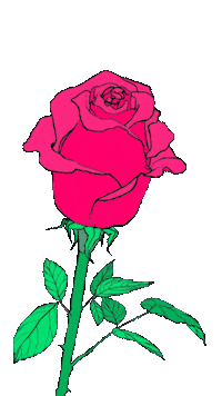 Beauty Rose Sticker