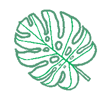 Aristovskaya leaf monstera tropics aristovskaya Sticker
