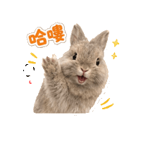 Vplab Sticker by ltudcd