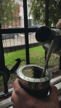 Cebando GIF by Pampa Direct