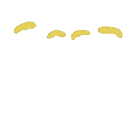 Good Morning Hello Sticker by Tracey Hoyng