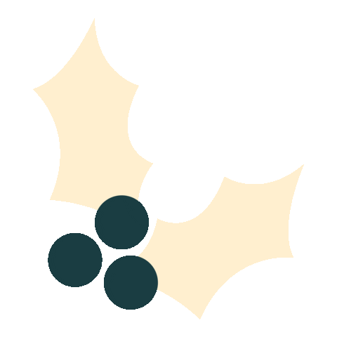 Merry Christmas Sticker by Poderistas