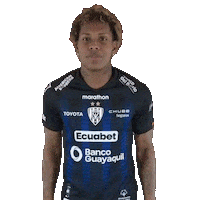 Del Valle Soccer Sticker by INDEPENDIENTE DEL VALLE