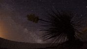 music video whatever GIF by Kaskade