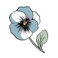 Flower Sticker by DilleKamille
