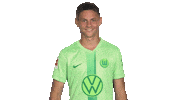 Three Points Win Sticker by VfL Wolfsburg