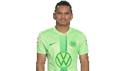 Three Points Win Sticker by VfL Wolfsburg