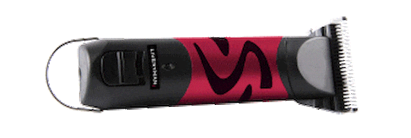 Liveryman giphyupload liveryman liverymanblackbeauty liverymanclipper Sticker
