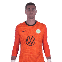 Vfl Wolfsburg Love Sticker by Bundesliga