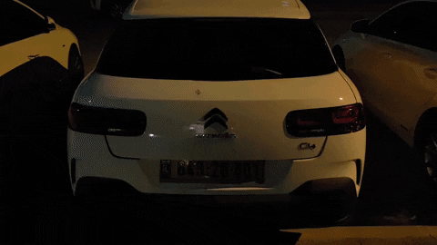 iCar giphygifmaker cactus citroen c4 GIF