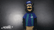 MISpeedway dancing dabbing brooks mis GIF