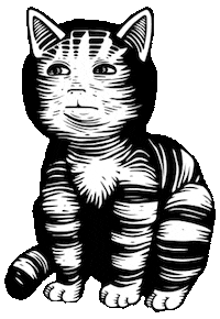 DCRT cat dcrt decart декарт Sticker