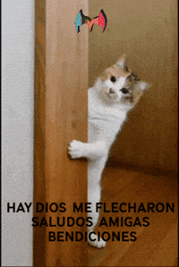 I Love Angel GIF by Murcianys LLC