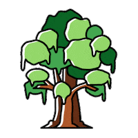 Spring Sticker by ReforestamosMX