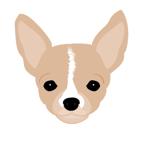eddiethechihuahua giphyupload dog face puppy Sticker