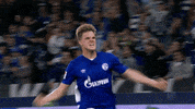 Football Soccer GIF by FC Schalke 04