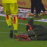 1 Fc Cologne Football GIF by 1. FC Köln