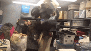GIF by Eric