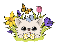 Cedric Sticker