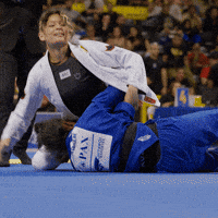 artofjiujitsu bjj jiu jitsu world champion ibjjf GIF