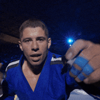 artofjiujitsu bjj jiu jitsu ibjjf 3x GIF