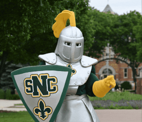 Dance Mascot GIF by St. Norbert College