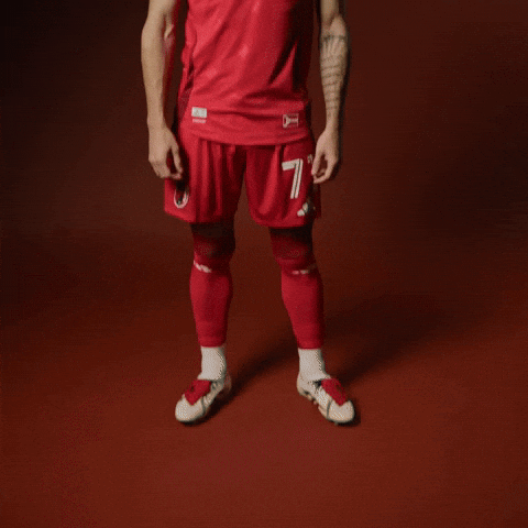 Stlcitysc GIF by St. Louis CITY SC