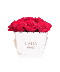 Natalie Svetapinkit Sticker by Lada Fiori