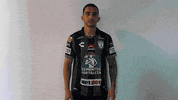 Futbol Mexicano GIF by Club Pachuca Tuzos
