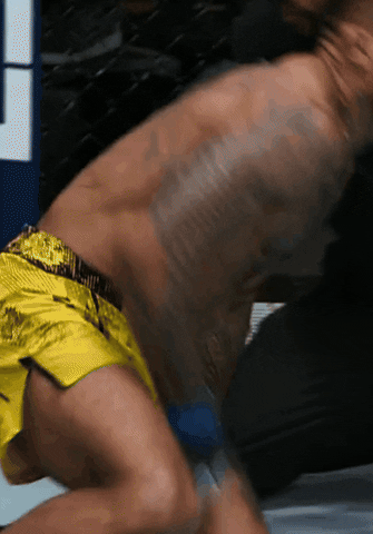 giphy.gif