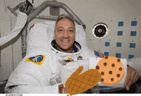 columbiauniversity cookies astronauts space cookies astromike GIF