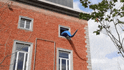 Wave Squid GIF by Larian Studios