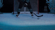 San Jose Celebration GIF by San Jose Barracuda