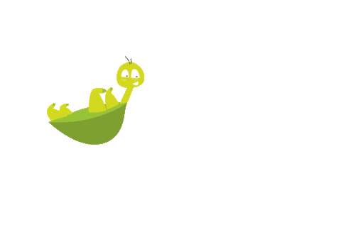 StiftungKulturPalast giphyupload music turtle musik Sticker