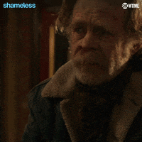 Final Season Showtime GIF by Shameless
