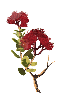 Birds Hawaii Sticker by uheheu